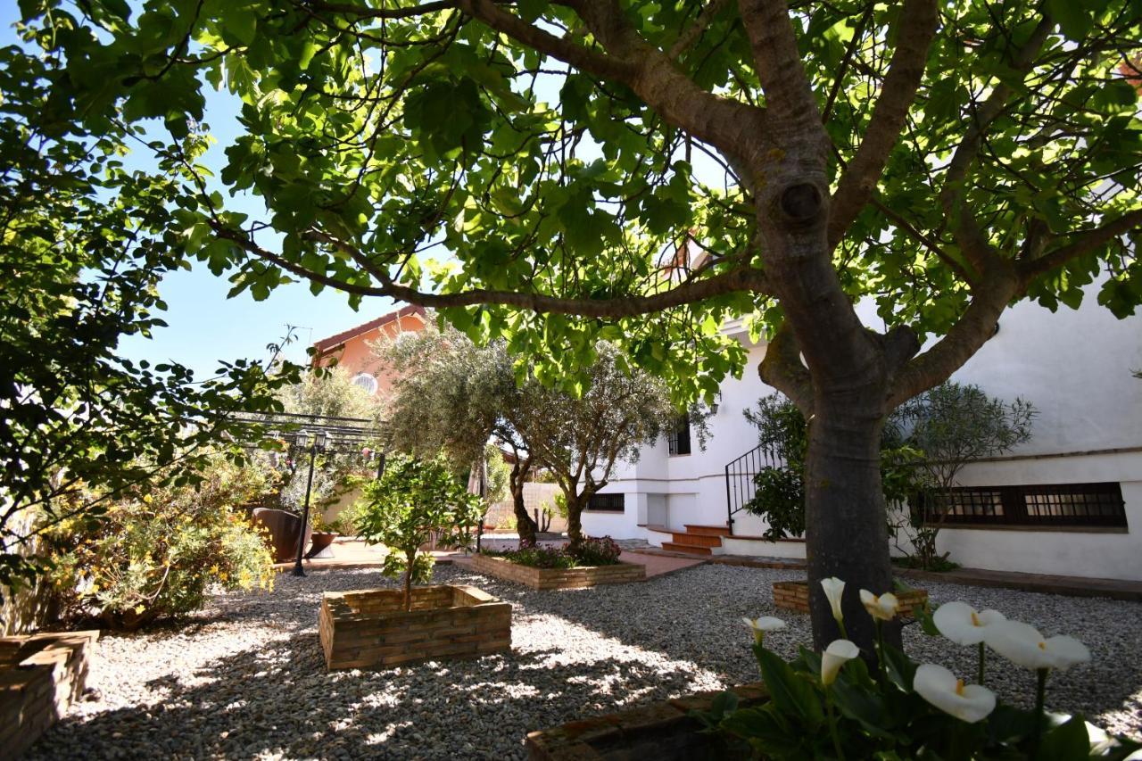 Villa Maria, Piscina Y Spa Exterior Privado Belicena ภายนอก รูปภาพ